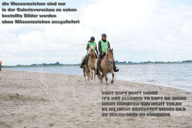 s_K3F05004.JPG